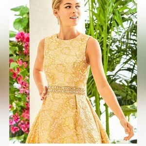 Lilly Pulitzer Levy Dress Metallic Gold